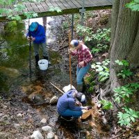 Burnette Creek_Elk Rapids_ Invertebrate Sampling_RJKane_6.09.2022-84