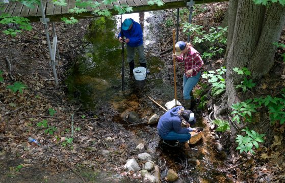 Creek_ Invertebrate Sampling_RJKane_6.09.2022-84 Creek_ Invertebrate Sampling_RJKane_6.09.2022-84