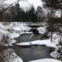 IMG_2904_showing plunge pool