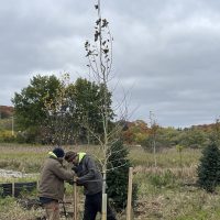 Photo Oct 16 2023, 2 00 08 PMKids Creek. Inhabitect. 2023