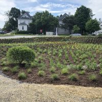 Rain Garden 2_1