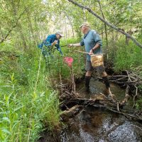Vandarli Creek #2 Invertebrate Sampling 6.14.2022-14