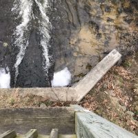 WB Mitchell at TART Trail Spring Sucker Run